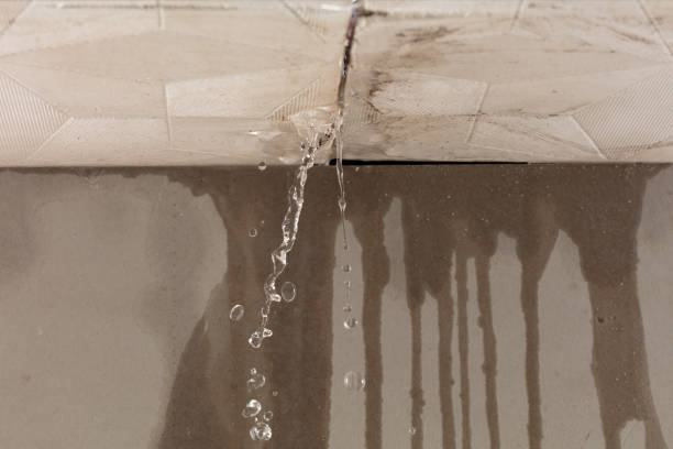 Professional Structural Drying technician working in East Springfield, OH